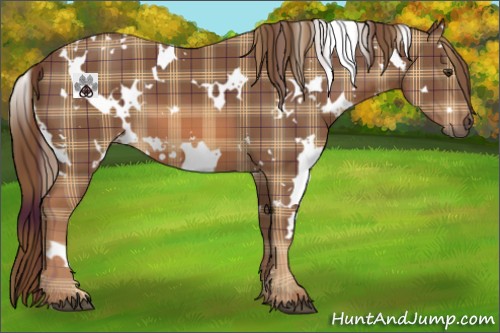 Horse Color:Plaid White Spotted Chestnut