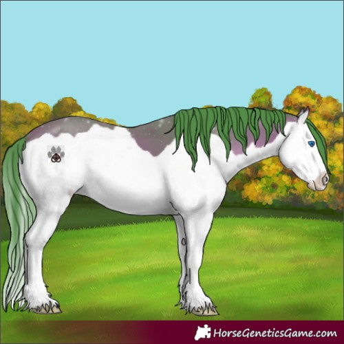 Horse Color:Watercolor Bay Splash 