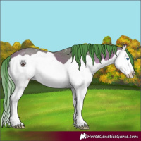 Horse Color:Watercolor Bay Splash 