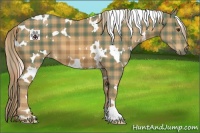 Horse Color:Plaid  White Spotted Chestnut 