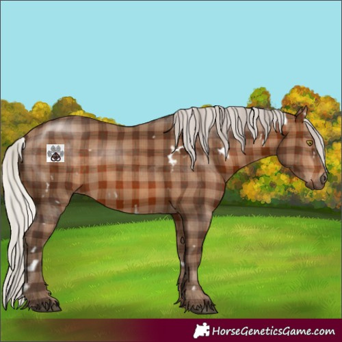 Horse Color:Plaid  White Spotted Silver Brown 