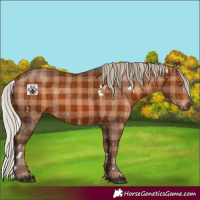 Horse Color:Plaid  White Spotted Silver Brown 