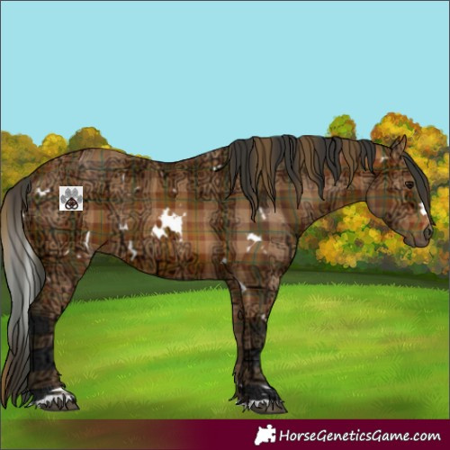 Horse Color:Plaid  White Spotted Bay Ice 