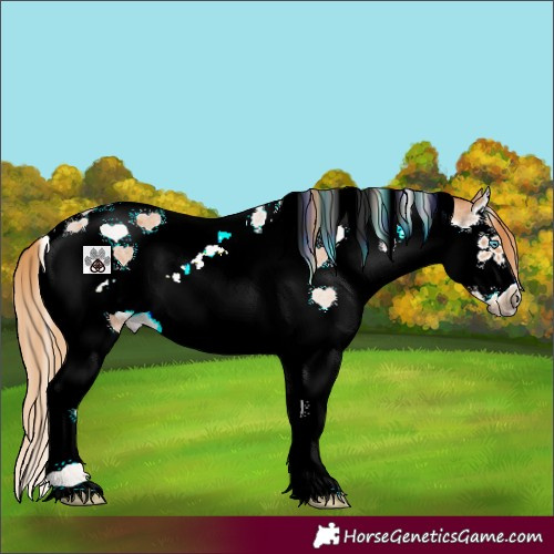 Horse Color:Red Roan Splash Tobiano Frame 