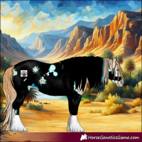 Horse Color:Gold Champagne Dun Splash Tobiano Frame Rabicano 