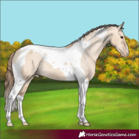 Horse Color:Bay Dun Tobiano Varnish 