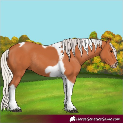 Horse Color:Silver Bay Tobiano Frame Rabicano