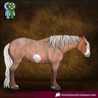 Horse Color:Silver Bay Roan Frame 