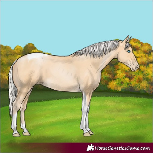 Horse Color:Silver Buckskin Pearl Tobiano 