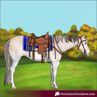Horse Color:White Spotted Amber Champagne 