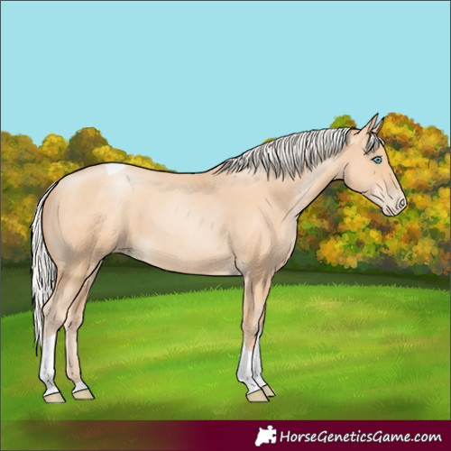 Horse Color:Silver Amber Champagne Pearl Tobiano