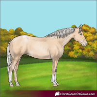 Horse Color:Silver Amber Champagne Pearl Tobiano