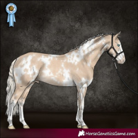 Horse Color:White Spotted Cremello Sabino Rabicano