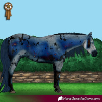 Horse Color:ERROR: UNKNOWN ANOMALY