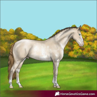Horse Color:Smoky Grullo Pearl Sabino