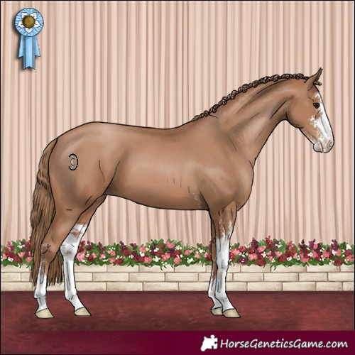 Horse Color:Black Pearl Sabino 