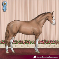 Horse Color:Black Pearl Sabino 
