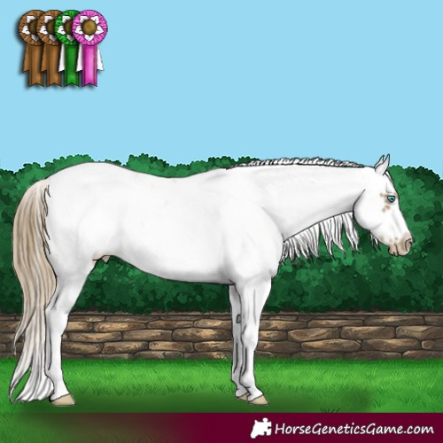 Horse Color:Buckskin Pearl Sabino Frame 