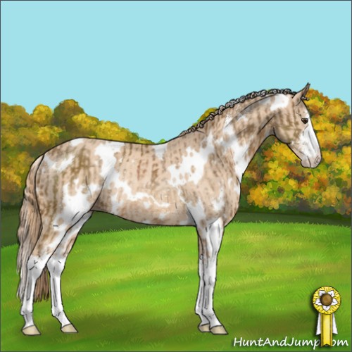 Horse Color:White Spotted Chocolate Palomino Sabino Rabicano and White Spotted Perlino Sabino Rabicano