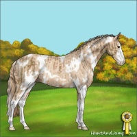 Horse Color:White Spotted Chocolate Palomino Sabino Rabicano  and White Spotted Perlino Sabino Rabicano 