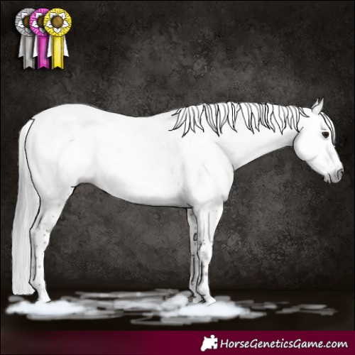 Horse Color:Gray Brown Dun Sabino 