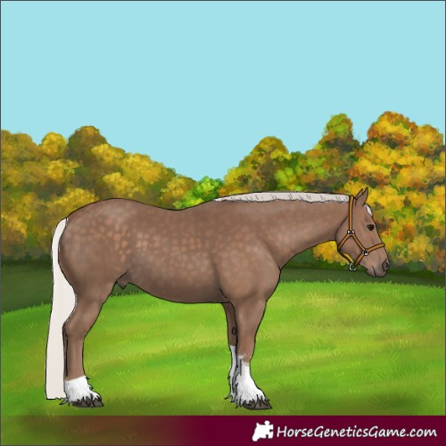 Horse Color:Silver Black Sabino Tobiano 