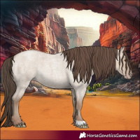 Horse Color:Classic Champagne Roan Dun 