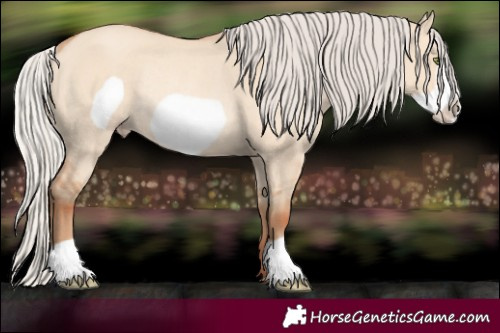 Horse Color:Silver Amber Champagne Dun Frame Rabicano 