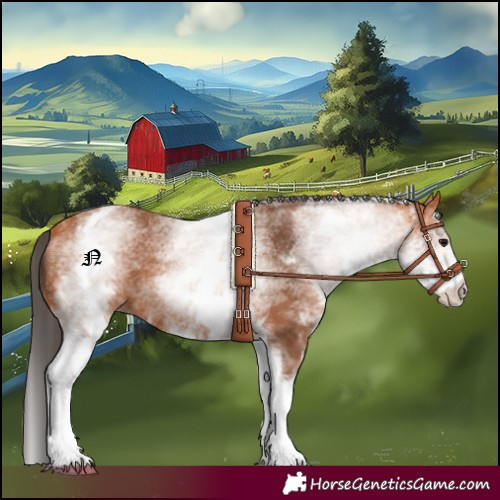 Horse Color:White Spotted Bay 