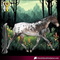 Horse Color:Brown Mushroom Tobiano Blanket 