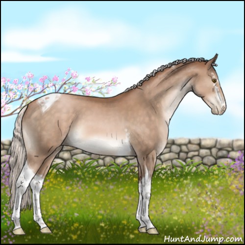 Horse Color:White Spotted Silver Brown Pearl Tobiano 