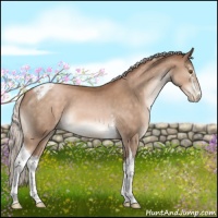 Horse Color:White Spotted Silver Brown Pearl Tobiano