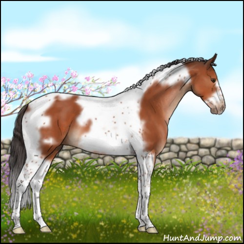 Horse Color:Brown Tobiano Frame 