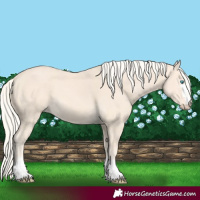 Horse Color:Cremello 