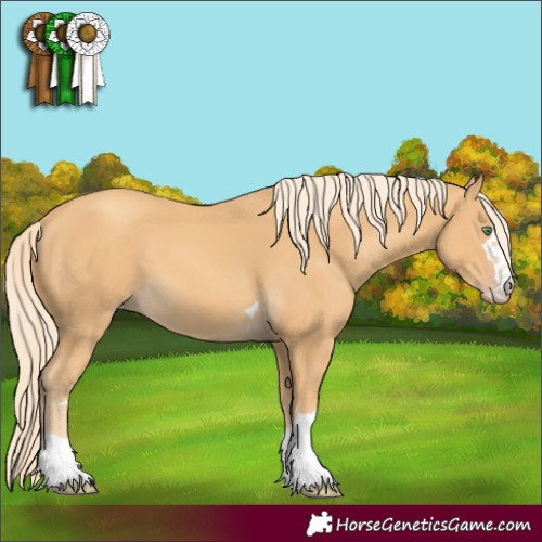 Horse Color:Gold Cream Champagne 