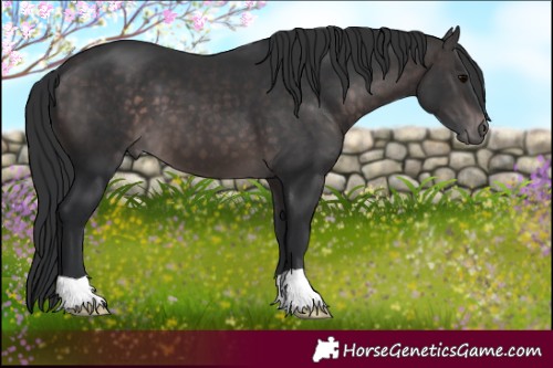 Horse Color:Platinum Brown 