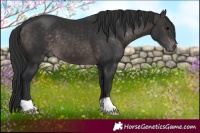 Horse Color:Platinum Brown 