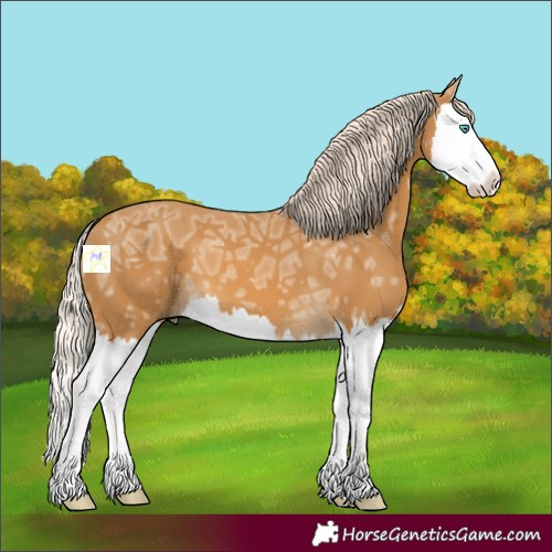 Horse Color:Palomino Ice Splash