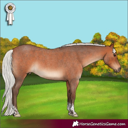 Horse Color:Silver Brown Roan Tobiano 