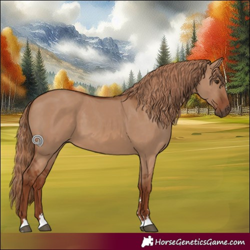 Horse Color:Red Dun 