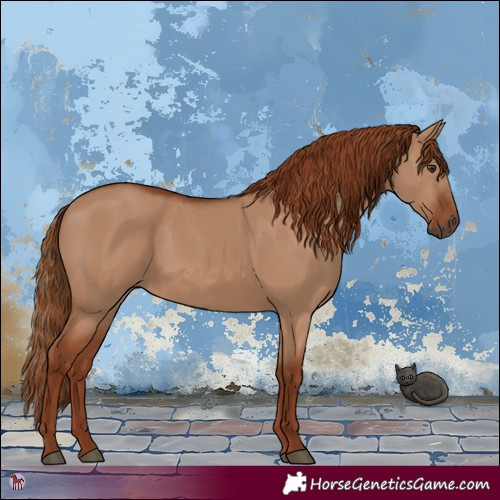 Horse Color:Red Dun