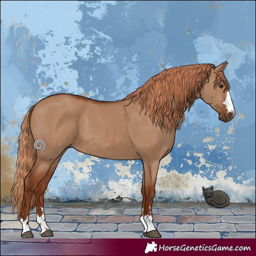 Horse Color:Red Dun 