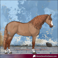 Horse Color:Red Dun 