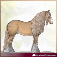 Horse Color:Chocolate Palomino Dun 