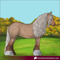 Horse Color:Silver Grullo 