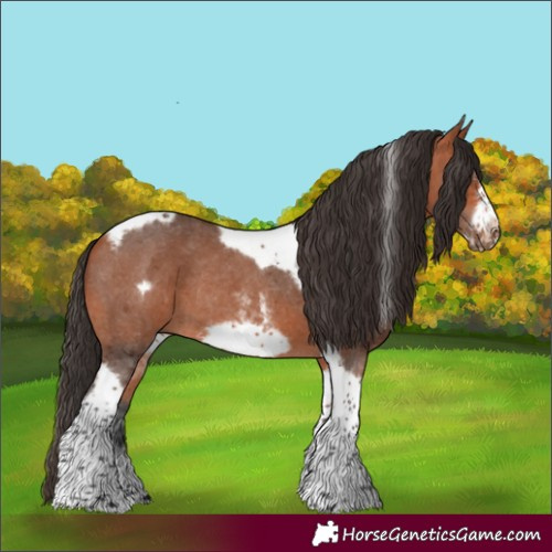 Horse Color:Bay Sabino Tobiano Frame Rabicano 