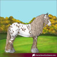 Horse Color:Chocolate Palomino Frame Near Leopard