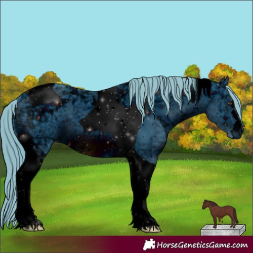 Horse Color:ERROR: UNKNOWN ANOMALY