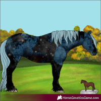 Horse Color:ERROR: UNKNOWN ANOMALY