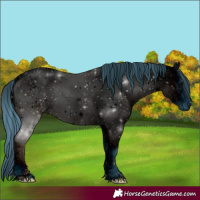 Horse Color:ERROR: UNKNOWN ANOMALY